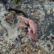 CoastCamp 138 : CoastCamp